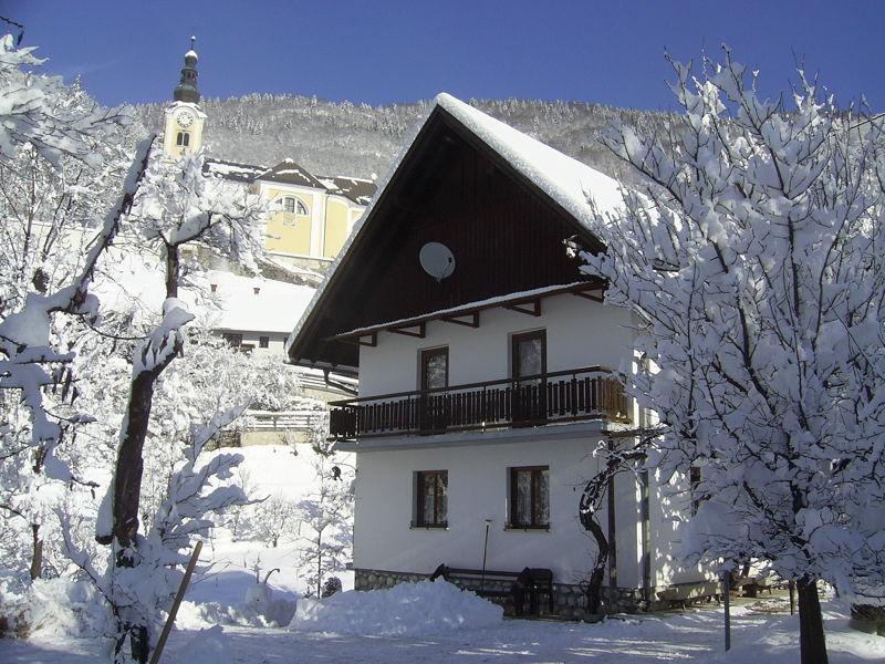 Private Apartments Bohinj Ribčev Laz Extérieur photo